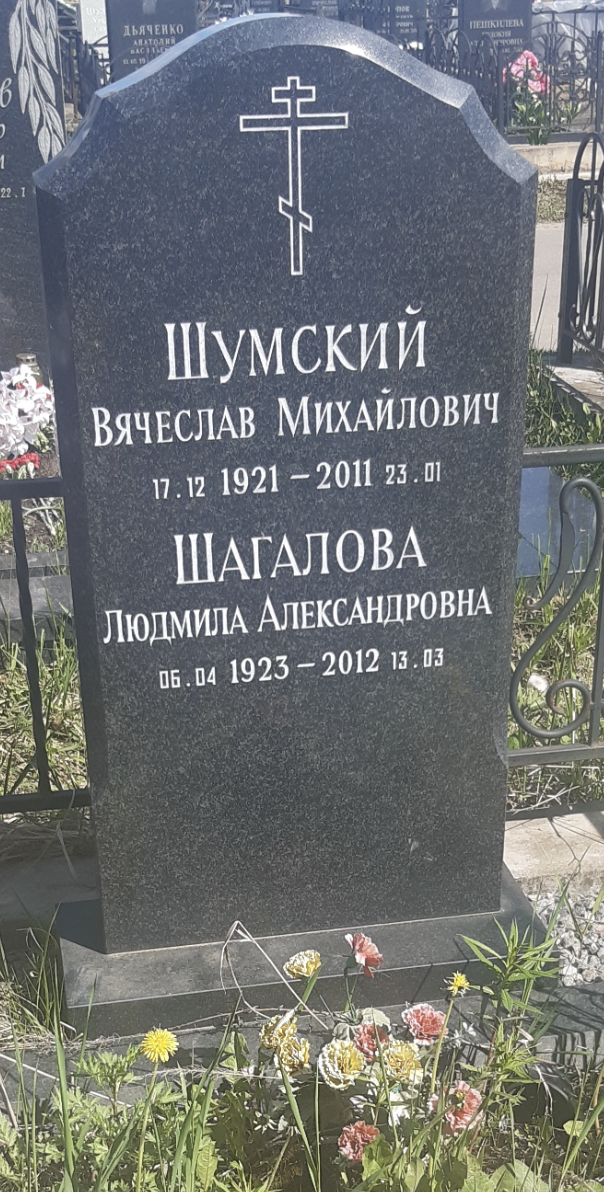 Вячеслав МИХАЙЛОВИЧ Шумский